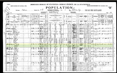 olive tree genealogy blog think outside the box when searching for