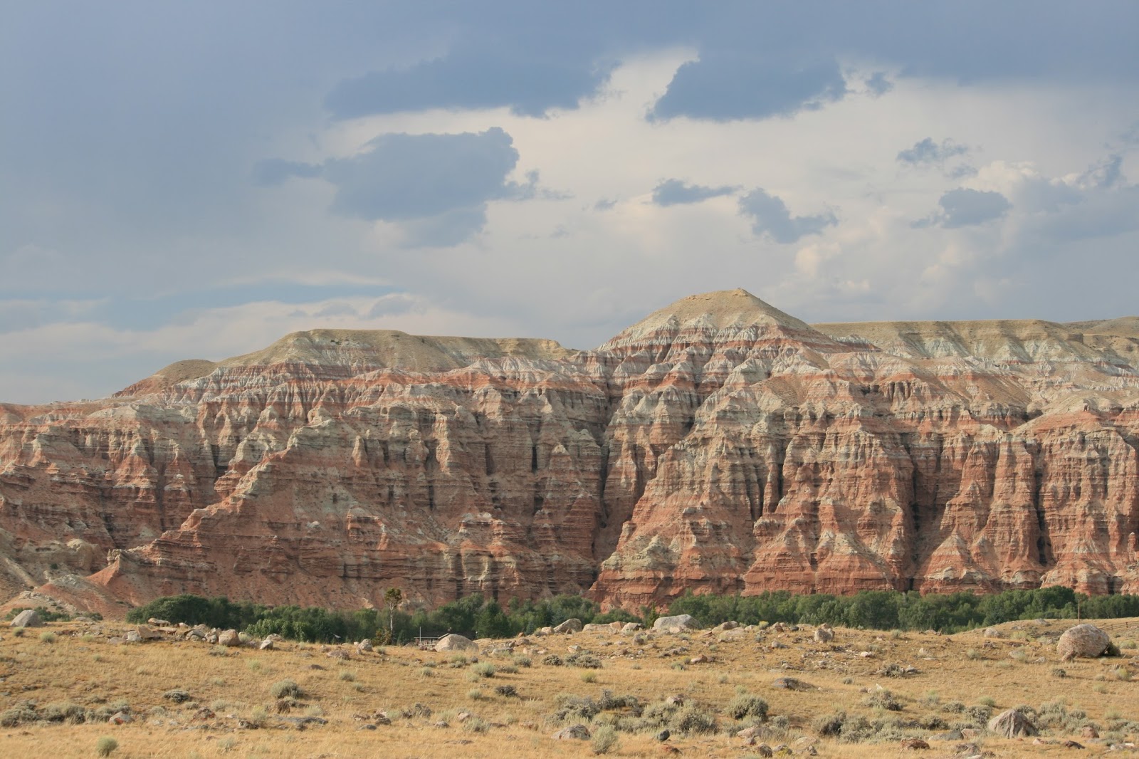 ChrysalisL Dubois (WY)