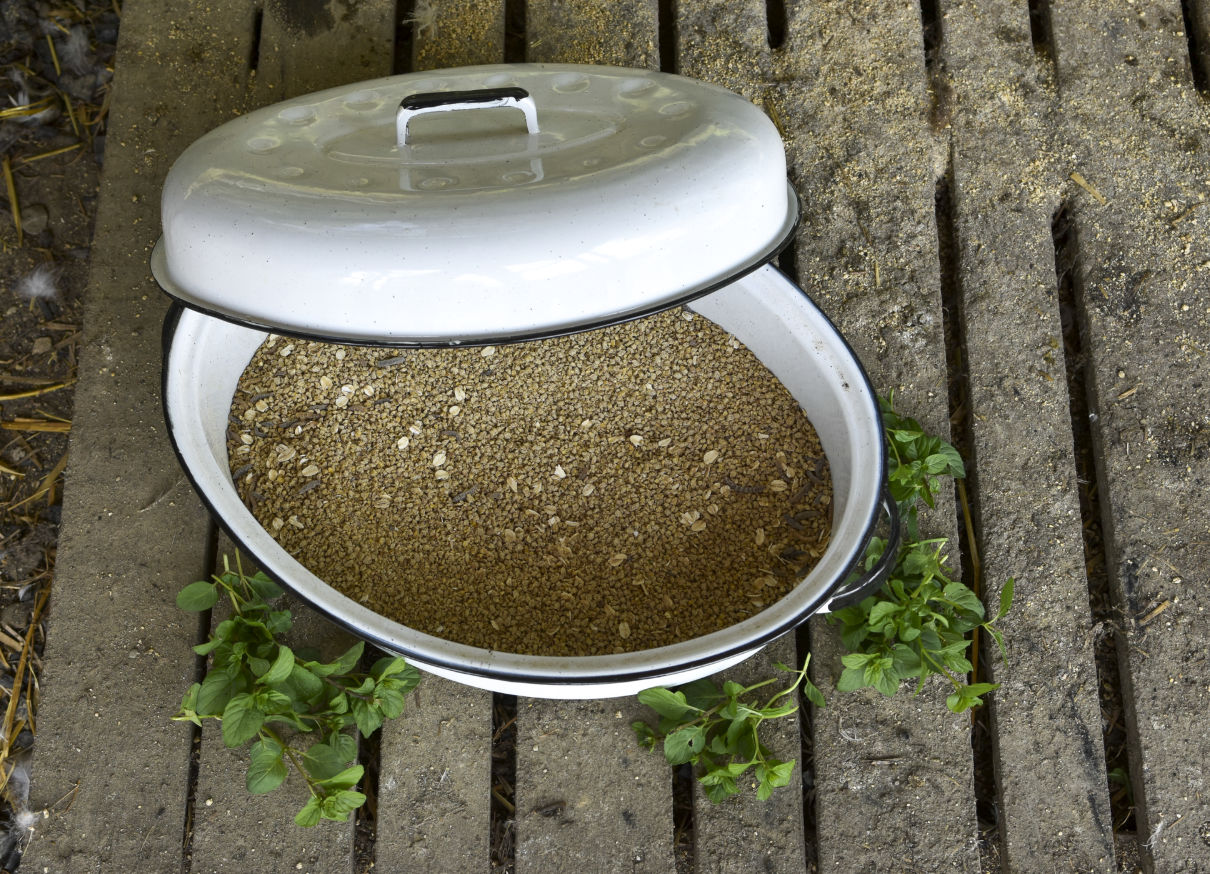 Keep Mice out of your Chicken Feed Fresh Eggs Daily® with Lisa Steele