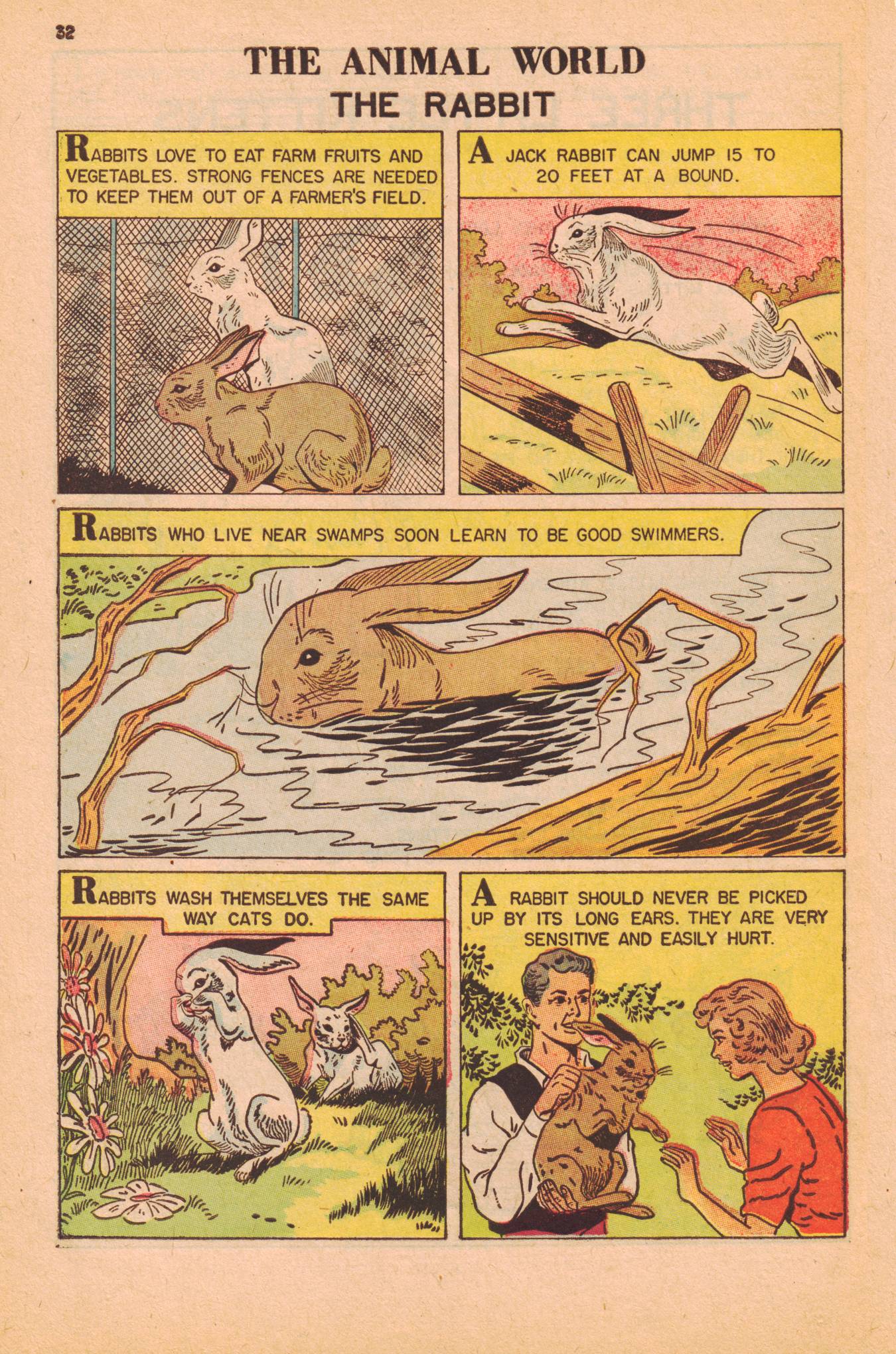 Read online Classics Illustrated Junior comic -  Issue #528 - 34
