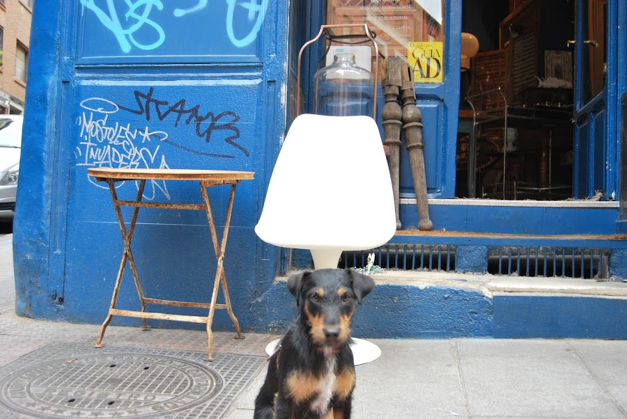 imprescindibles del rastro de madrid