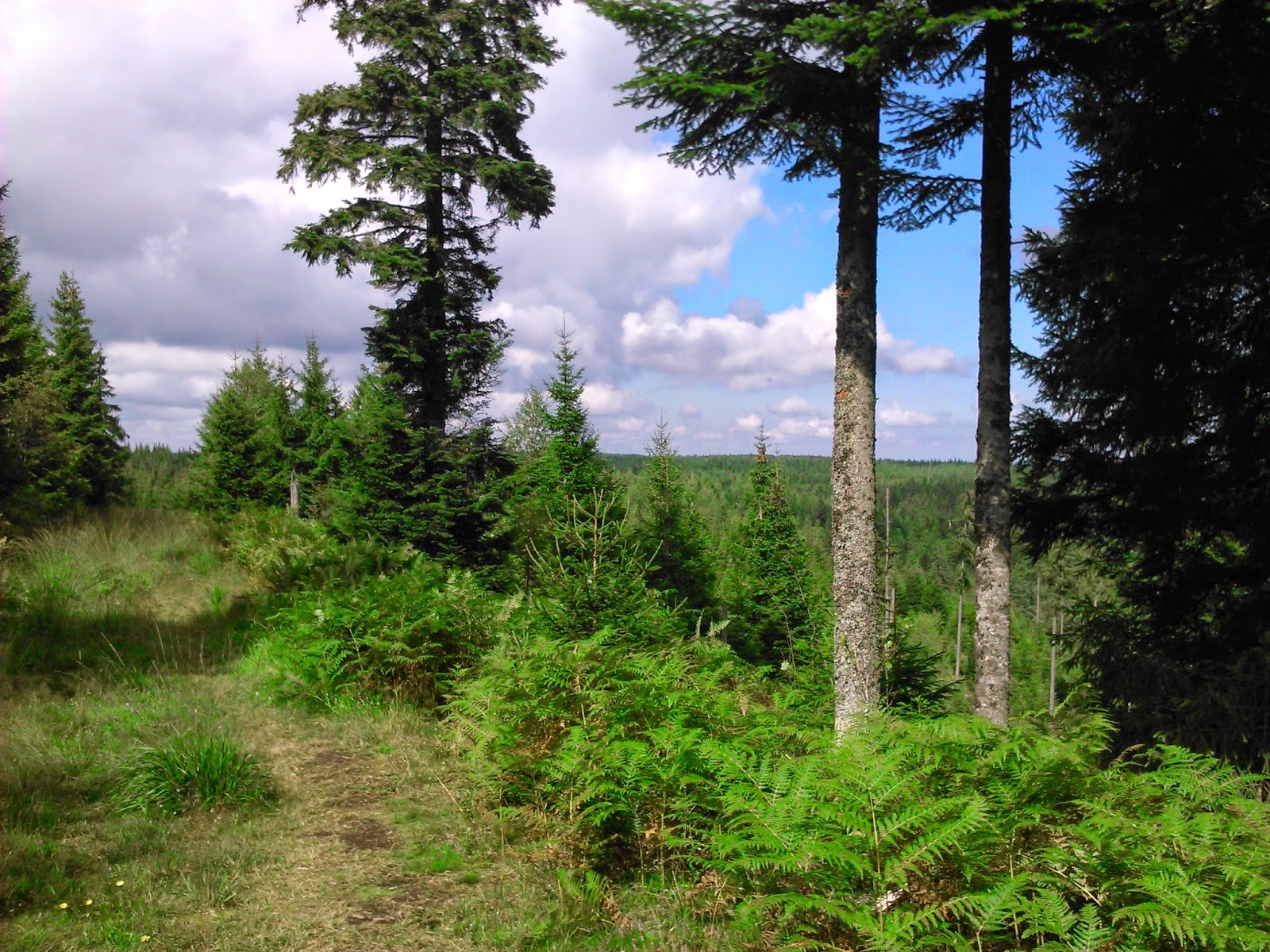 Betty S Corner Friends Herbstwanderungen Oder Jahreszeit Fur