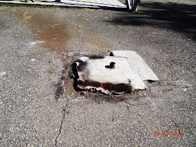 Ткаченко анна борисовна россельхознадзор