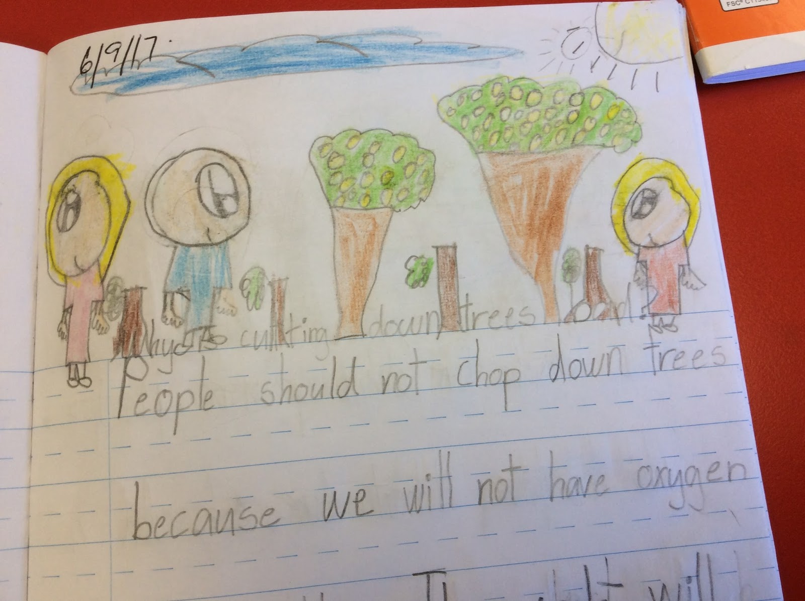 Sulia Saint Patrick's School Why Is Cutting Down Trees Bad?