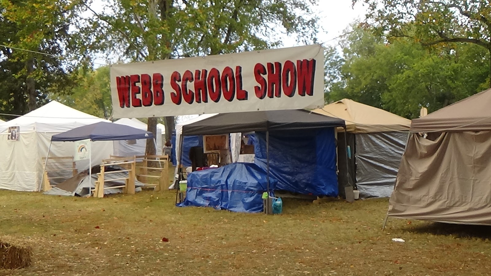 In My Painted Garden 2016 Maple St b School Bell Buckle TN