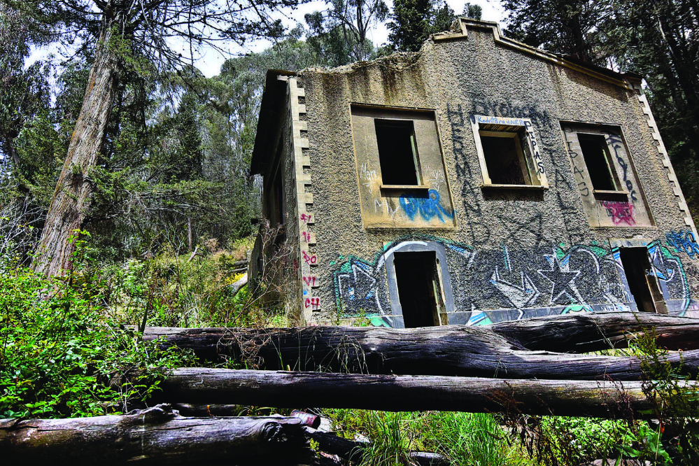 La Paz Bolivia La Paz del Bicentenario Bosquecillo de Pura Pura, el