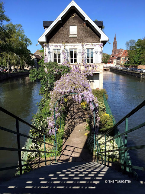 Wisteria grows on the railing over the entrance, which leads to a white and brown timbered house in the middle of a canal..