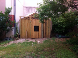 coop chicken hawk proof finished gardens hens awww loaded fully