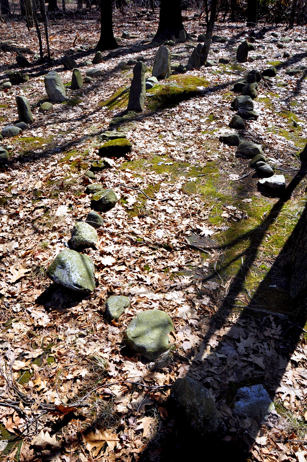 A Photographic Sage: Another Labyrinth, Another Lesson...