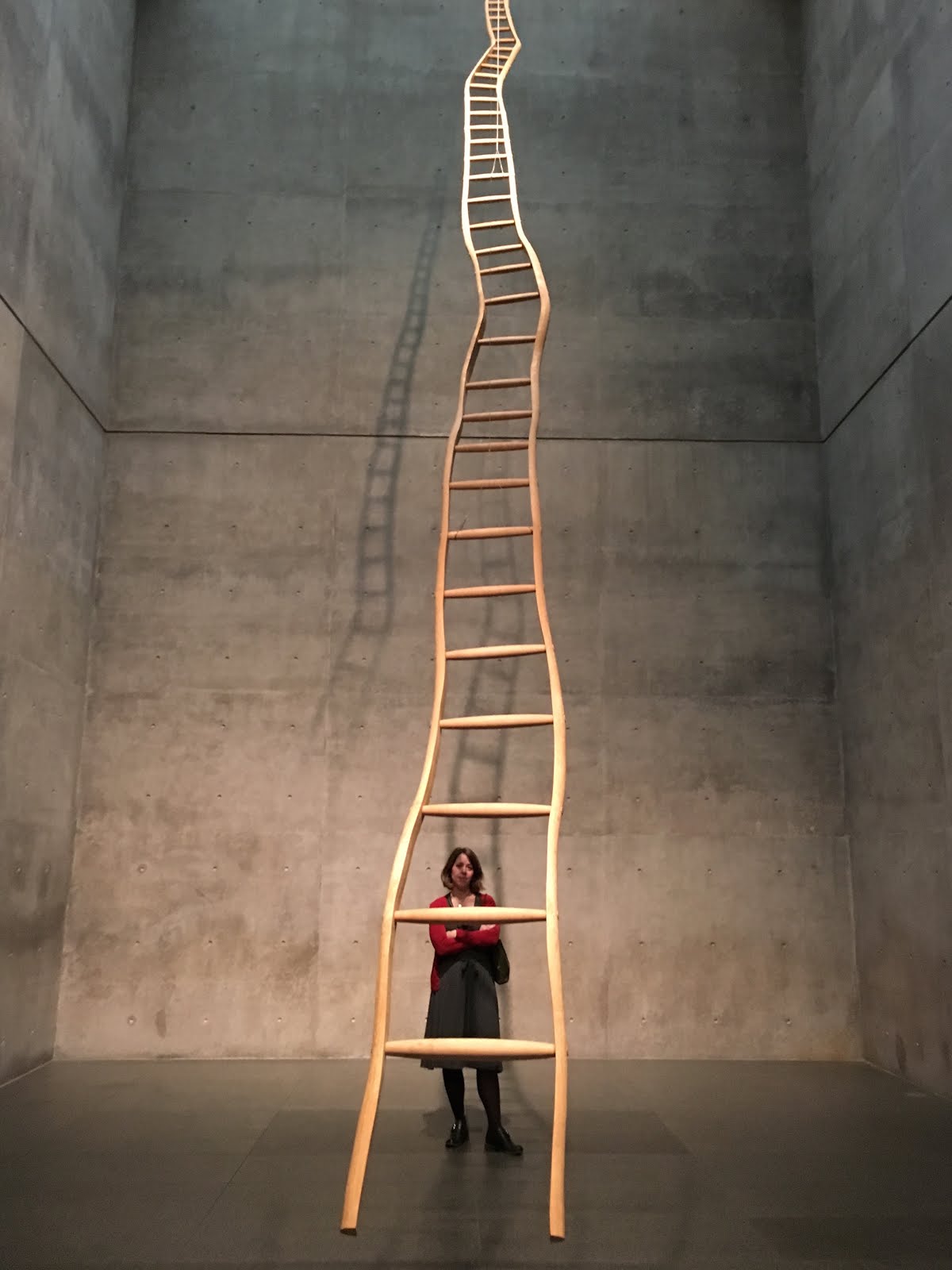 Deborah's Journal The Ladder