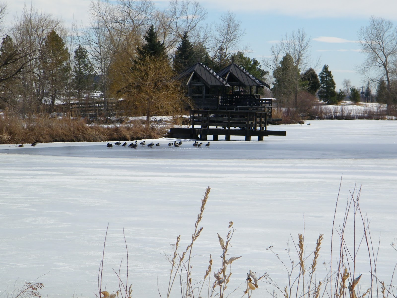 Trail and Park Reviews Belmar Park, Lakewood Colorado; A great place