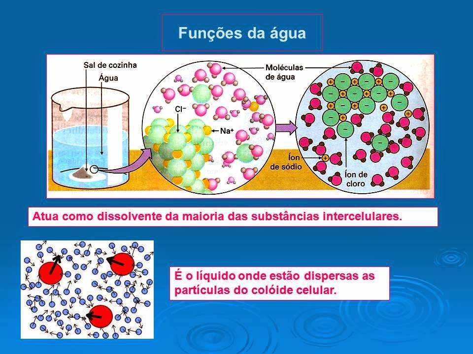 O que é "Educação Física"...?: 31/12/2014 - BIOLOGIA - ÁGUA E SAIS MINERAIS
