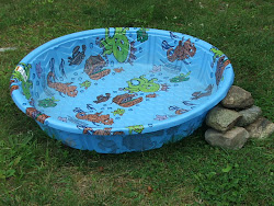 pool kiddie plastic pools hard swimming kiddy kid fuel deep baby cheap duck backyard majesticwaterfowl childhood fun toys spent covering
