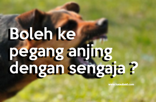 Anjing hukum bela Nanu Baharudin
