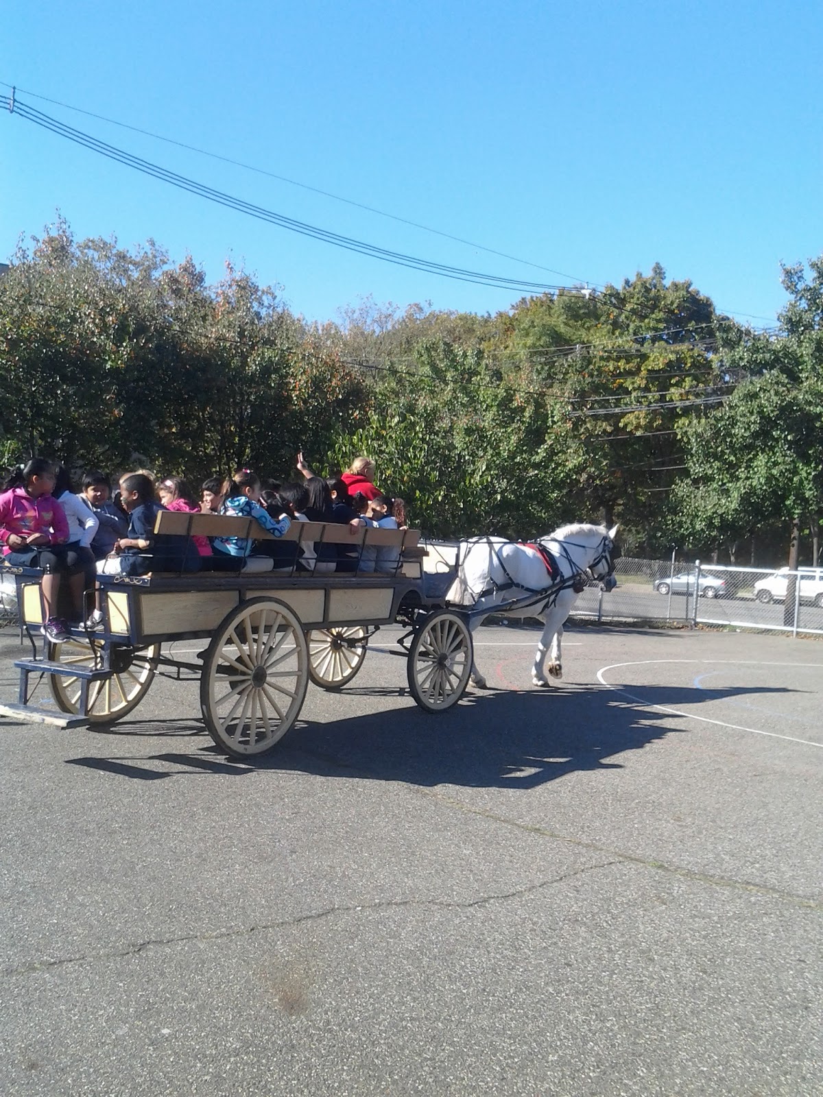 Dream Horse Carriage Company October 2012Dream Horse Carriage Company dream-horse-carriage-company-october-2012dream-horse-carriage-company