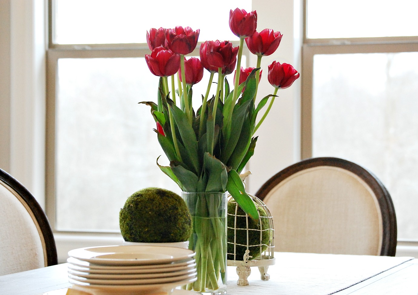 5 Tips For Caring For Fresh Cut Tulips At Home with Jemma