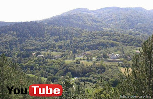 Studenica Online VIDEO