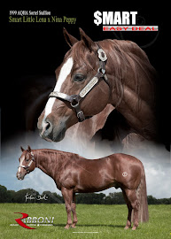 MY STALLIONS: SMART EASY DEAL