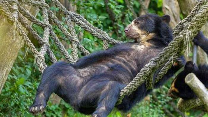 Funny animals of the week - 22 May 2015 (40 pics) | Amazing Creatures