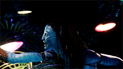 26.gif