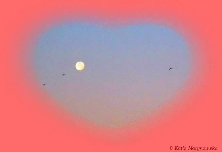 The Morning Moon and Birds Birds are flying to the moon