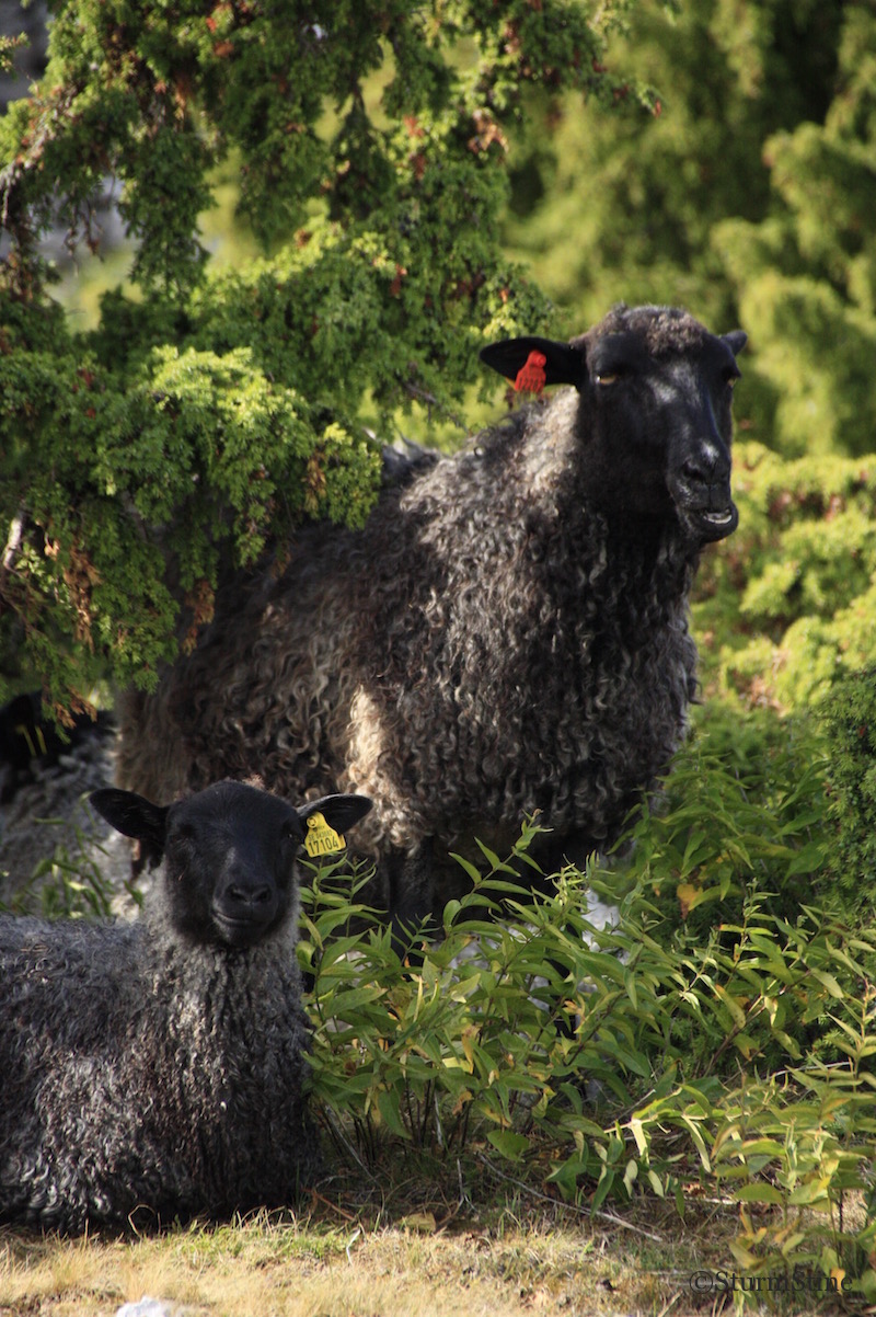 Kleiderkreisel At Blog Page 54 Chan 6710391 Rssing Com