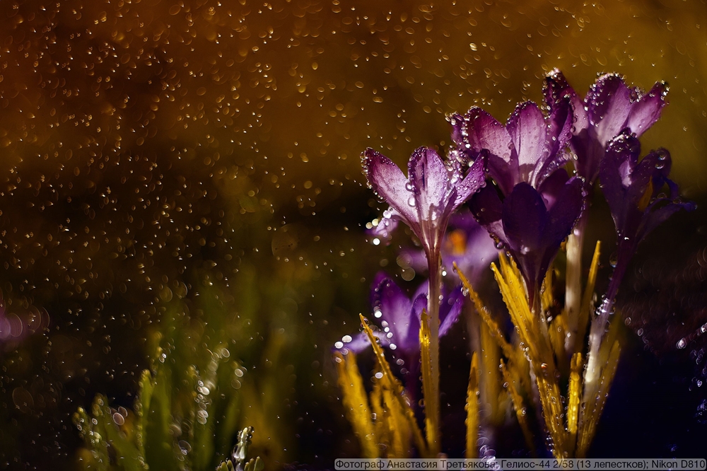 Гелиос-44 2/58