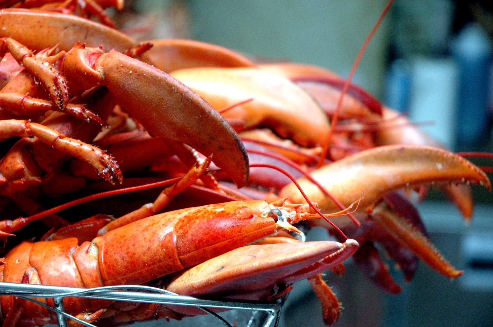 DUDE FOR FOOD Go Mad for Lobster at Edsa ShangriLa Manila's HEAT