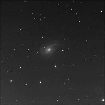 galaxy NGC 772 in luminance