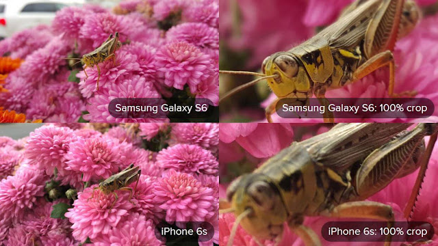 Galaxy S6 Camera Vs iPhone 6S Camera