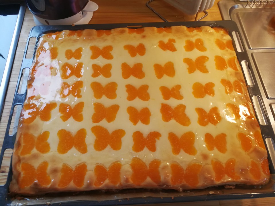 Quarkkuchen vom Blech mit Früchten – Einfache Kochrezepte Quarkkuchen vom Blech mit Früchten – Einfache Kochrezepte