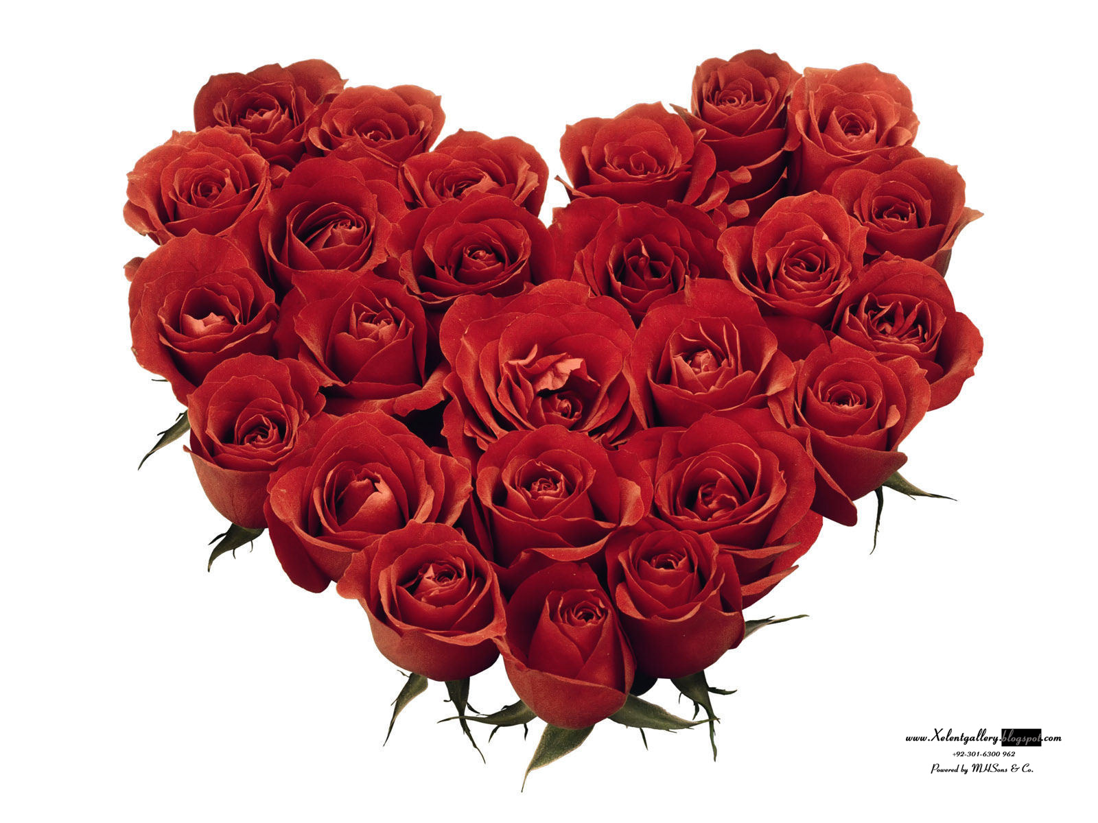 Red And White Backgrounds Brilliant Red And White Backgrounds Brilliant