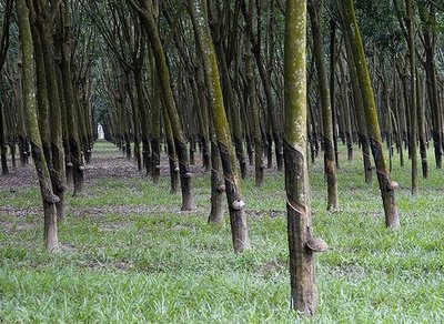 Faktor-faktor Perkembangan Perusahaan Tanaman Getah Di Tanah Melayu