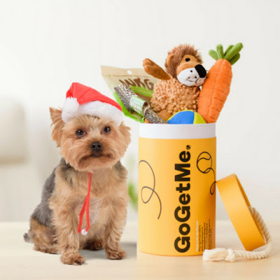 GoGetMe Christmas themed box with dog toys and dog treats