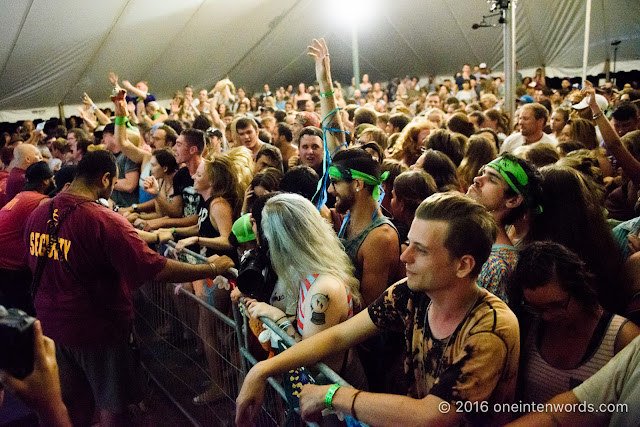 Hillside Festival at Guelph Lake Island July 22, 2016 Photo by John at One In Ten Words oneintenwords.com toronto indie alternative live music blog concert photography pictures