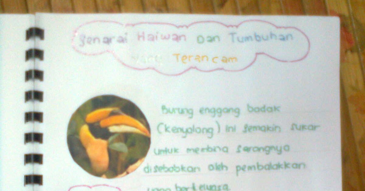 Contoh Buku Skrap Sains Tingkatan 2 Bab 8  Contoh Box