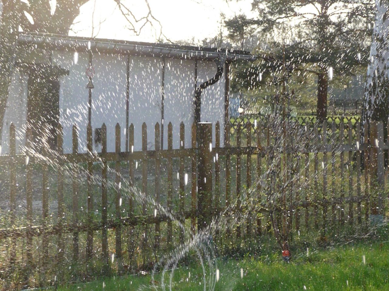 Gunnars Whippenblog: Sonne, Licht, Farben - es geht los!!