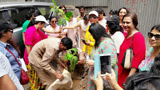 JSRA - Tree Plantation, Juhu Mumbai