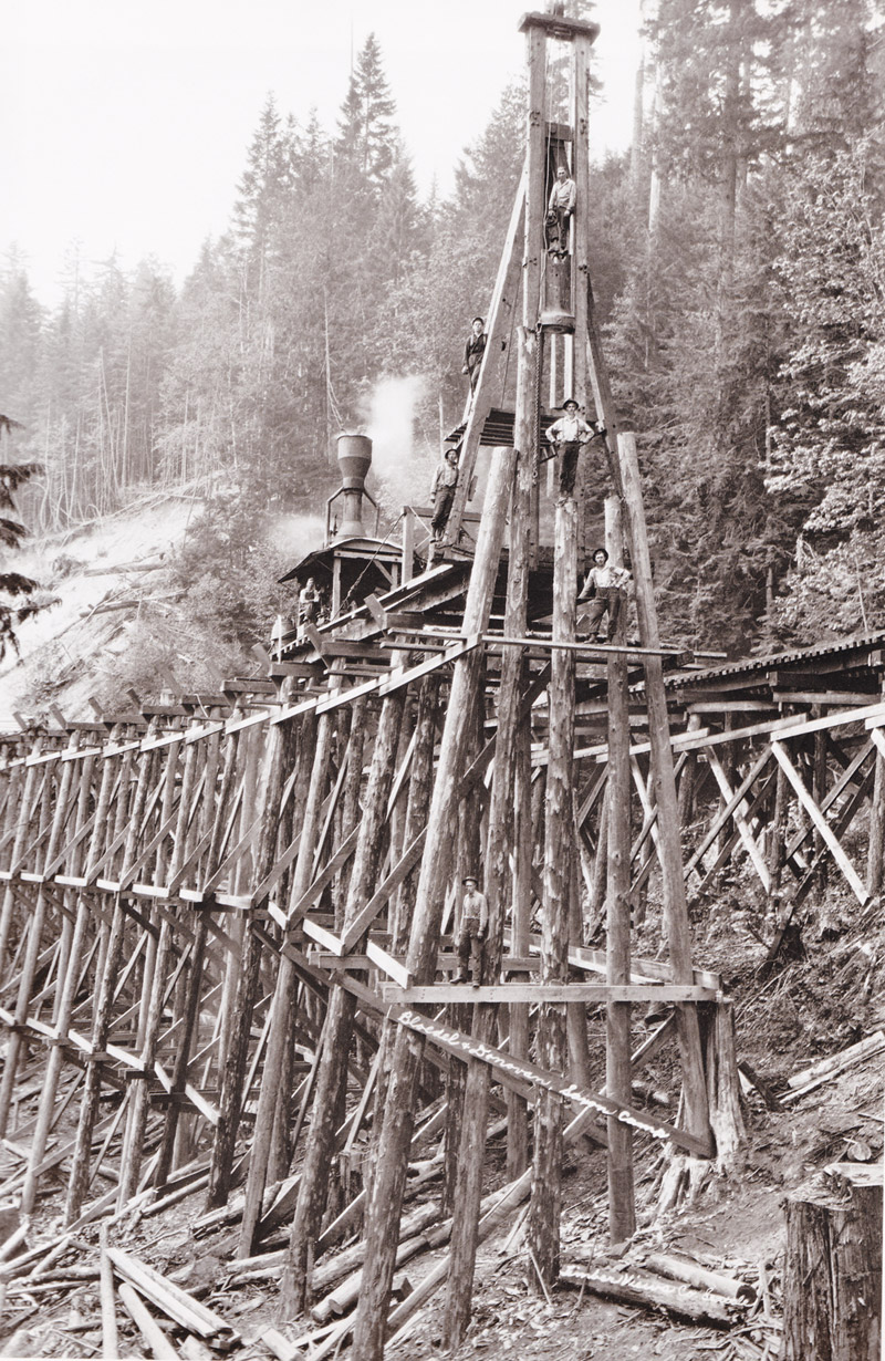 Amazing Vintage Photographs Document Logging And Lumber