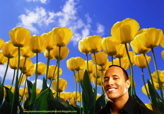 Desktop Wallpapers of Dwayne Johnson Smiling in Tulips Flowers Fields wallpaper