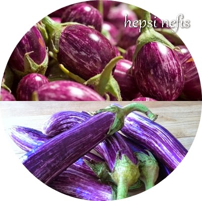 çizgili patlıcan ebruli patlıcan