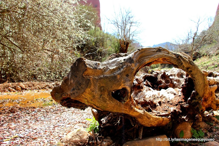 Las Médulas. Ponferrada. León. España