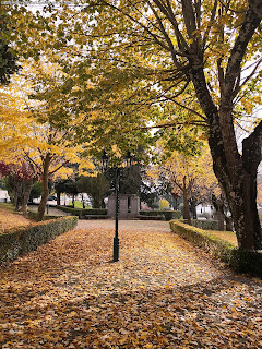 NATURE VIEWS / Fotografias de natureza, Castelo de Vide