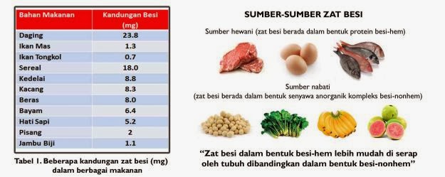 Sumber Makanan Yang Mengandung Zat Besi Tinggi Dan Resiko Kekurangan