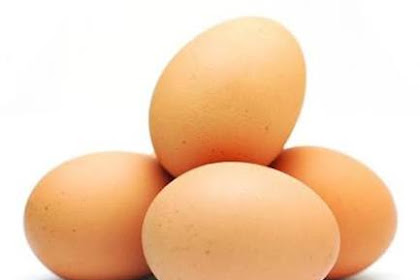 Telur Beranak: Menipu Balik Tuan Tanah