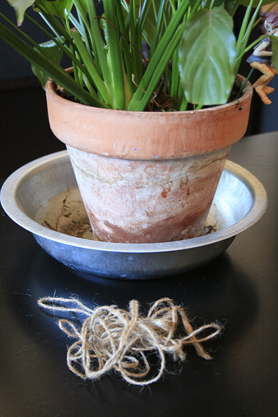 Decorar una maceta con estilo rústico