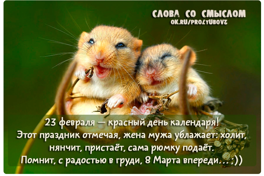 Скачать песню 23 февраля красный день календаря