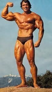 Arnold Schwarzenegger Top Bodybuilders Of All Time