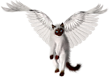 ForgetMeNot: Fantasy Animals angels