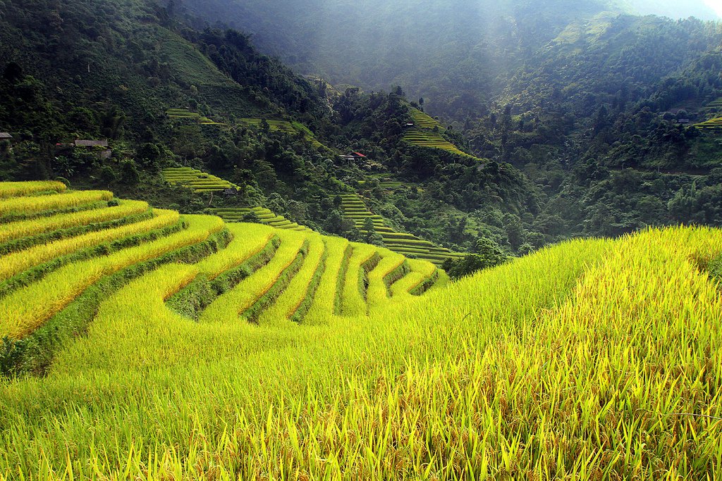 10 reasons to choose a homestay in Ha Giang